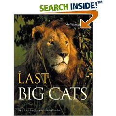 world cats book